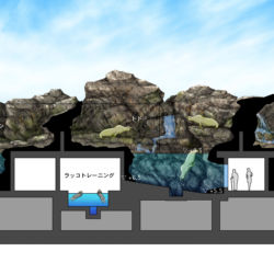 某水族館海獣プール